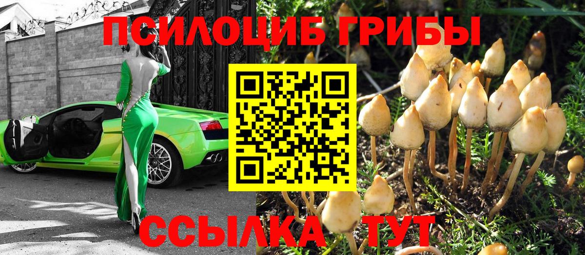 хочу наркоту  Псилоцибиновые грибы ЛСД  Вход с VPN  Коломна  Галлюциногенные грибы ЛСД 